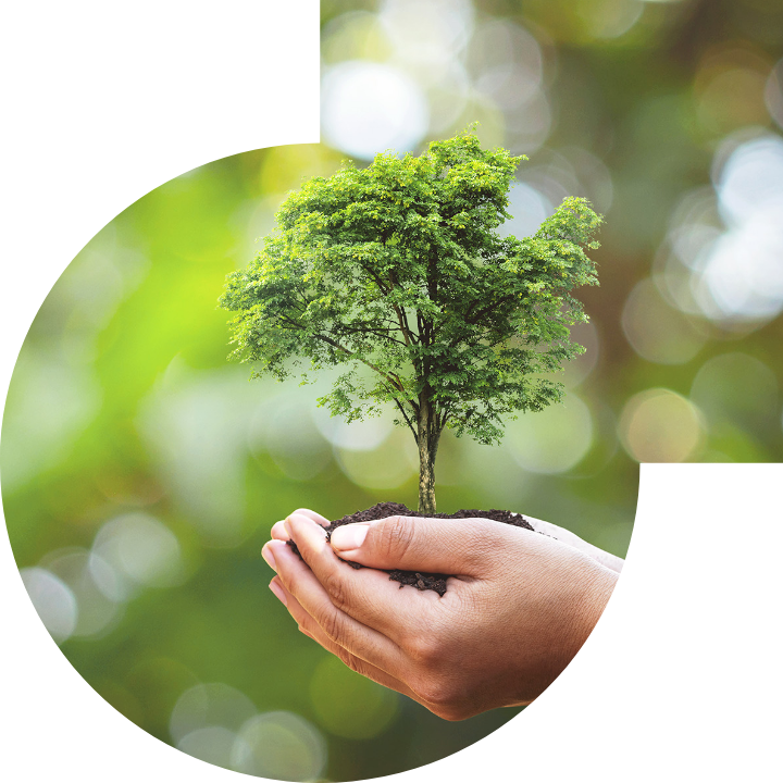 关怀人类、文化、环境与社会